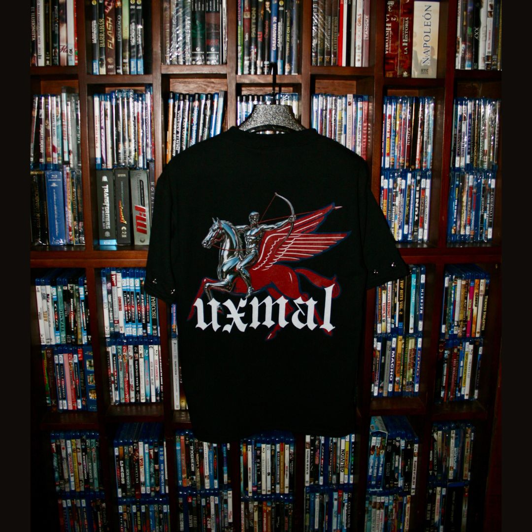 PEGASUS T