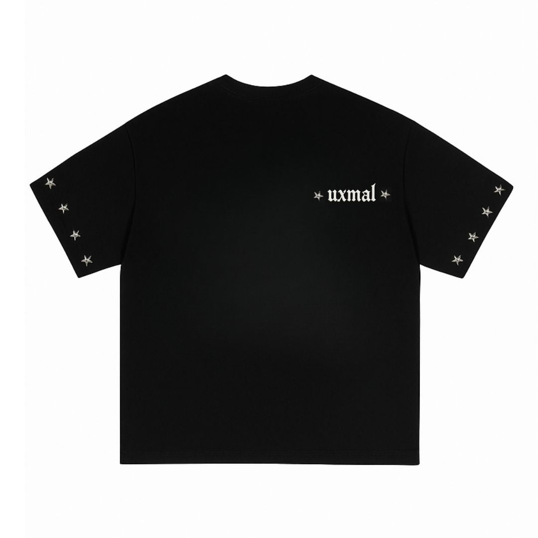 PEGASUS T