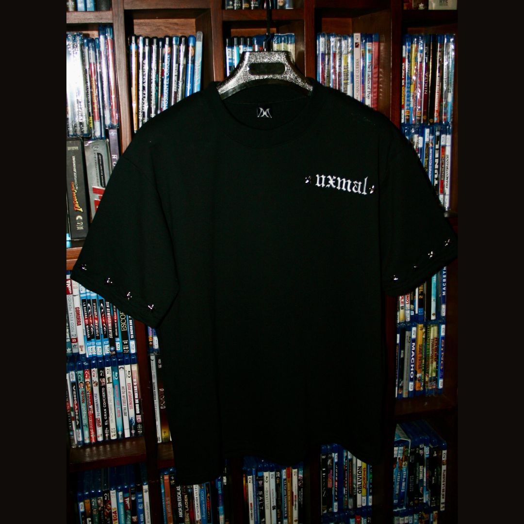 PEGASUS T