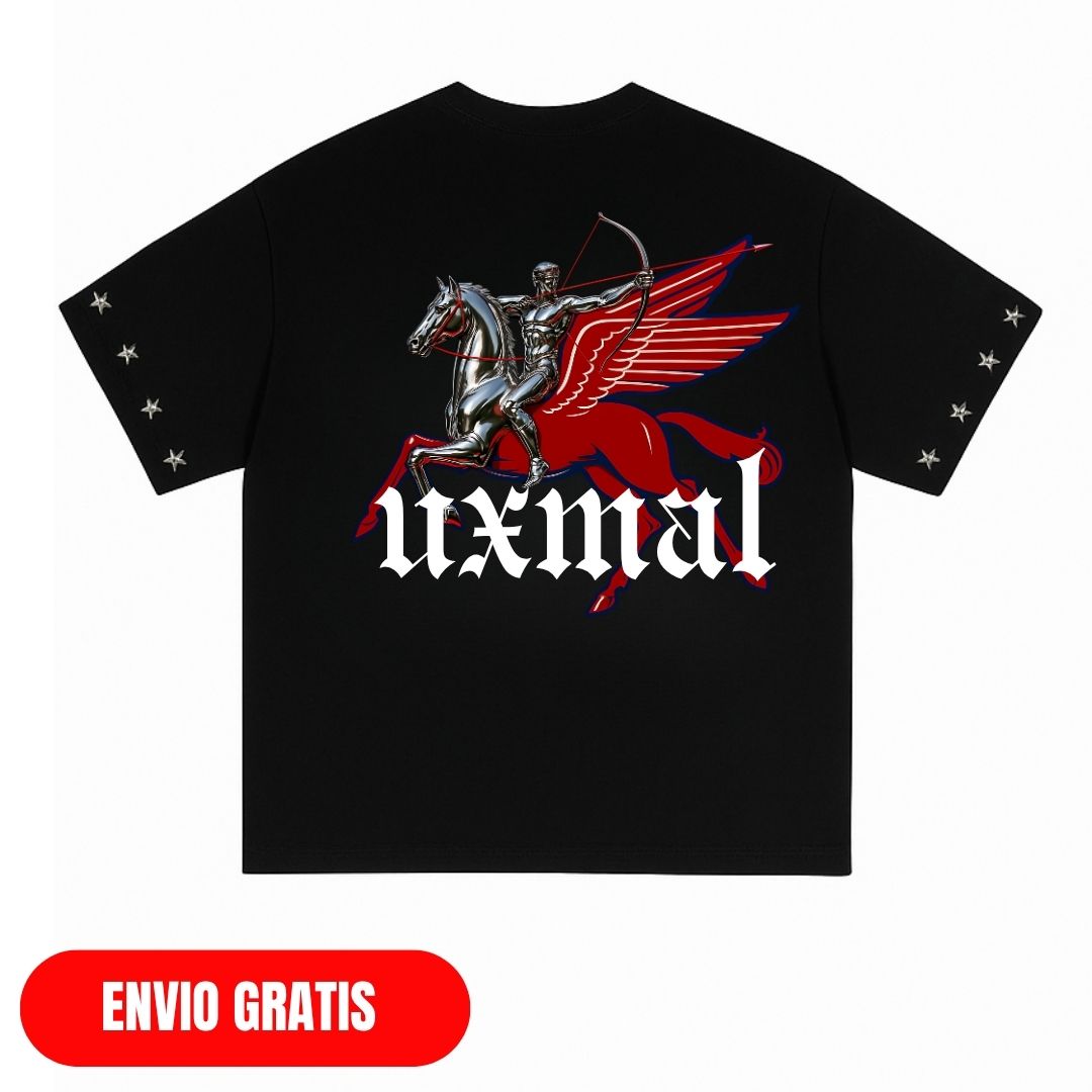 PEGASUS T