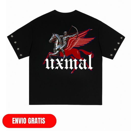 PEGASUS T